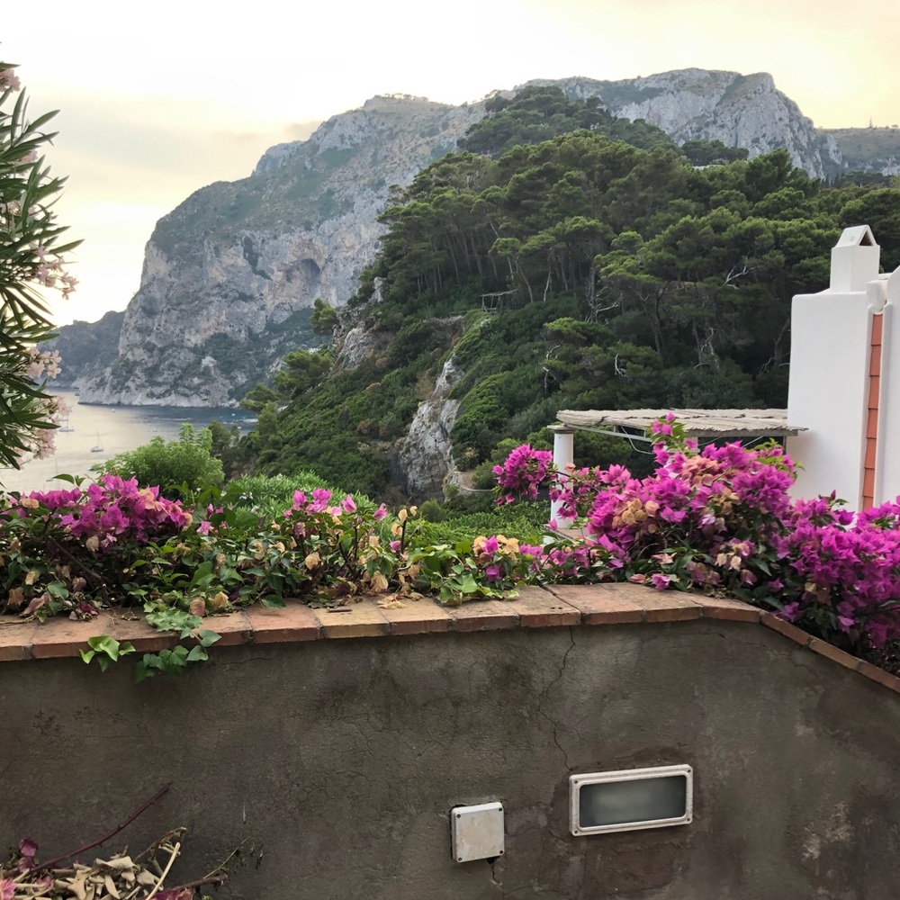 Meet your Posher, Tina